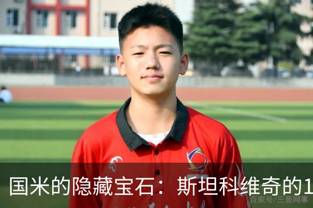 国米的"隐藏宝石"：斯坦科维奇的15分钟戏份大揭秘
